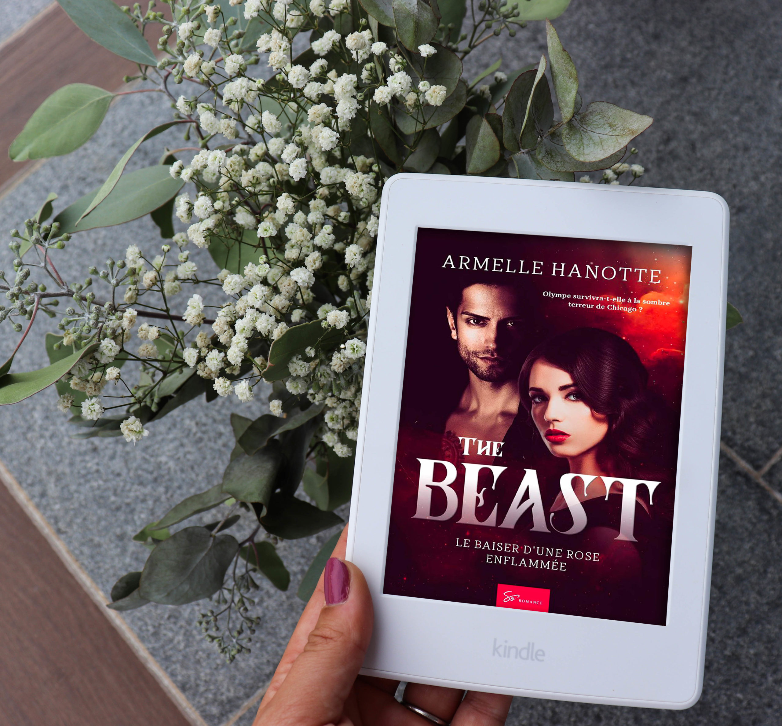 the beast armelle hanotte