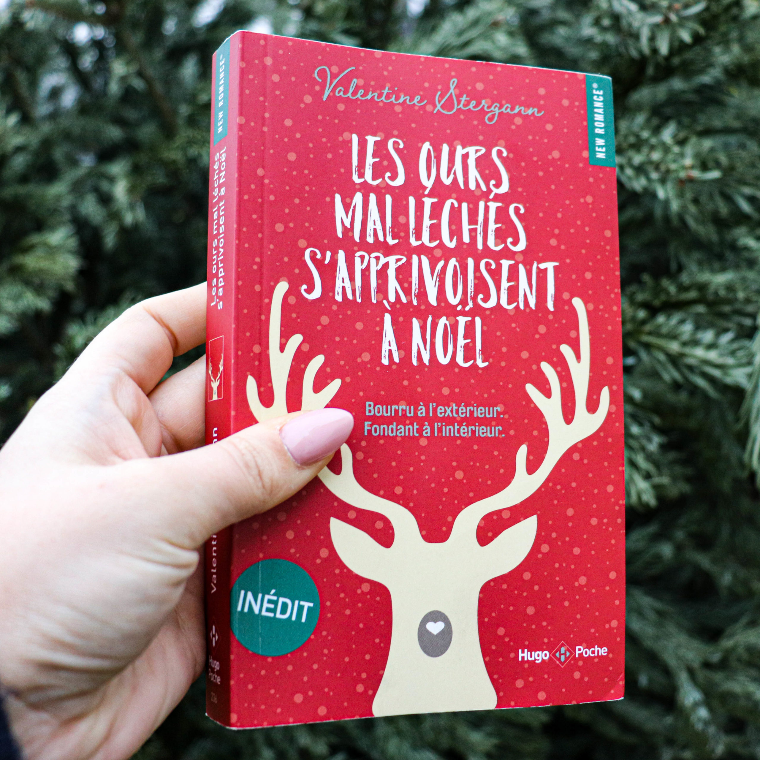 les ours mal léchés s'apprivoisent à noël valentine stergann