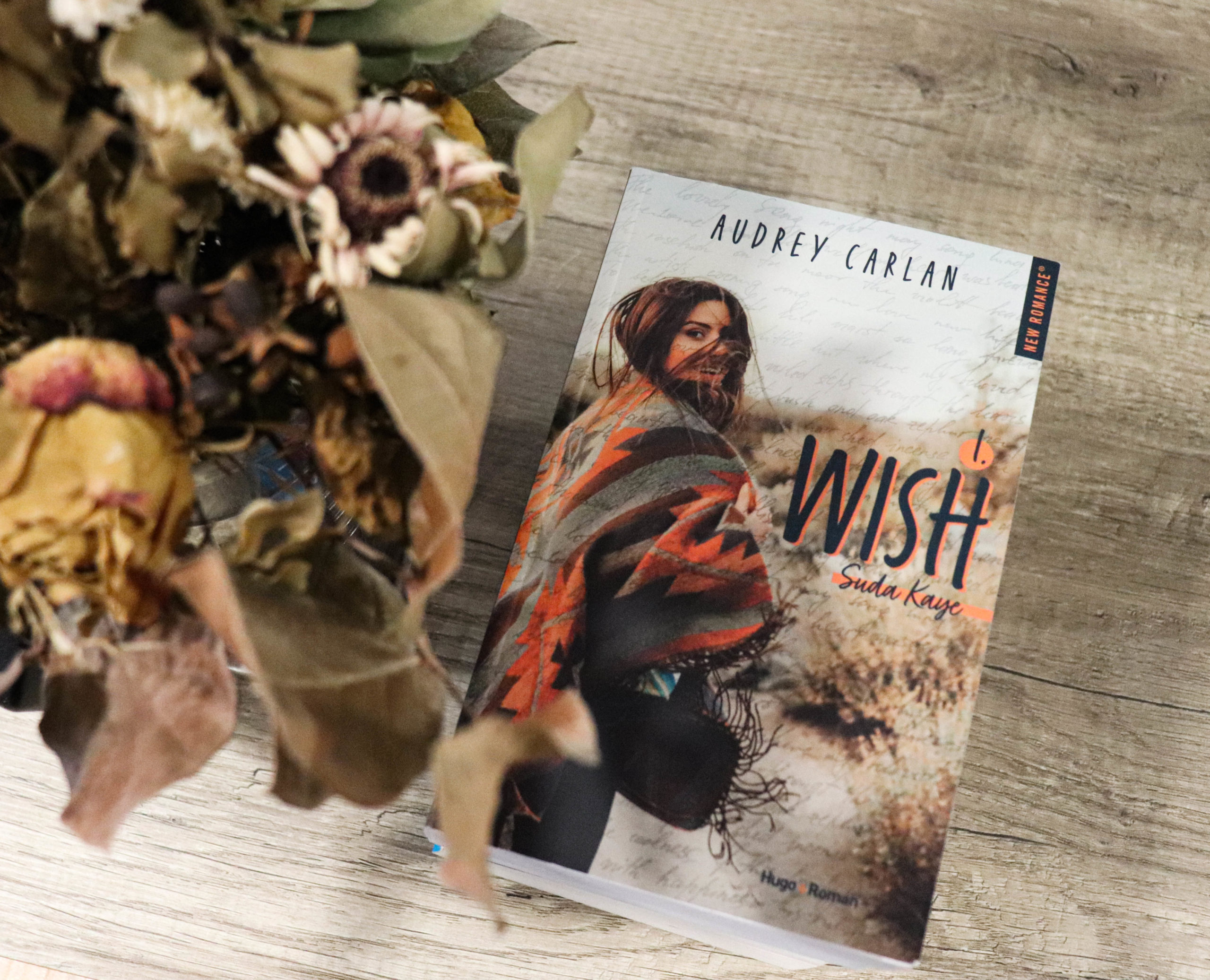 wish tome 1 audrey carlan