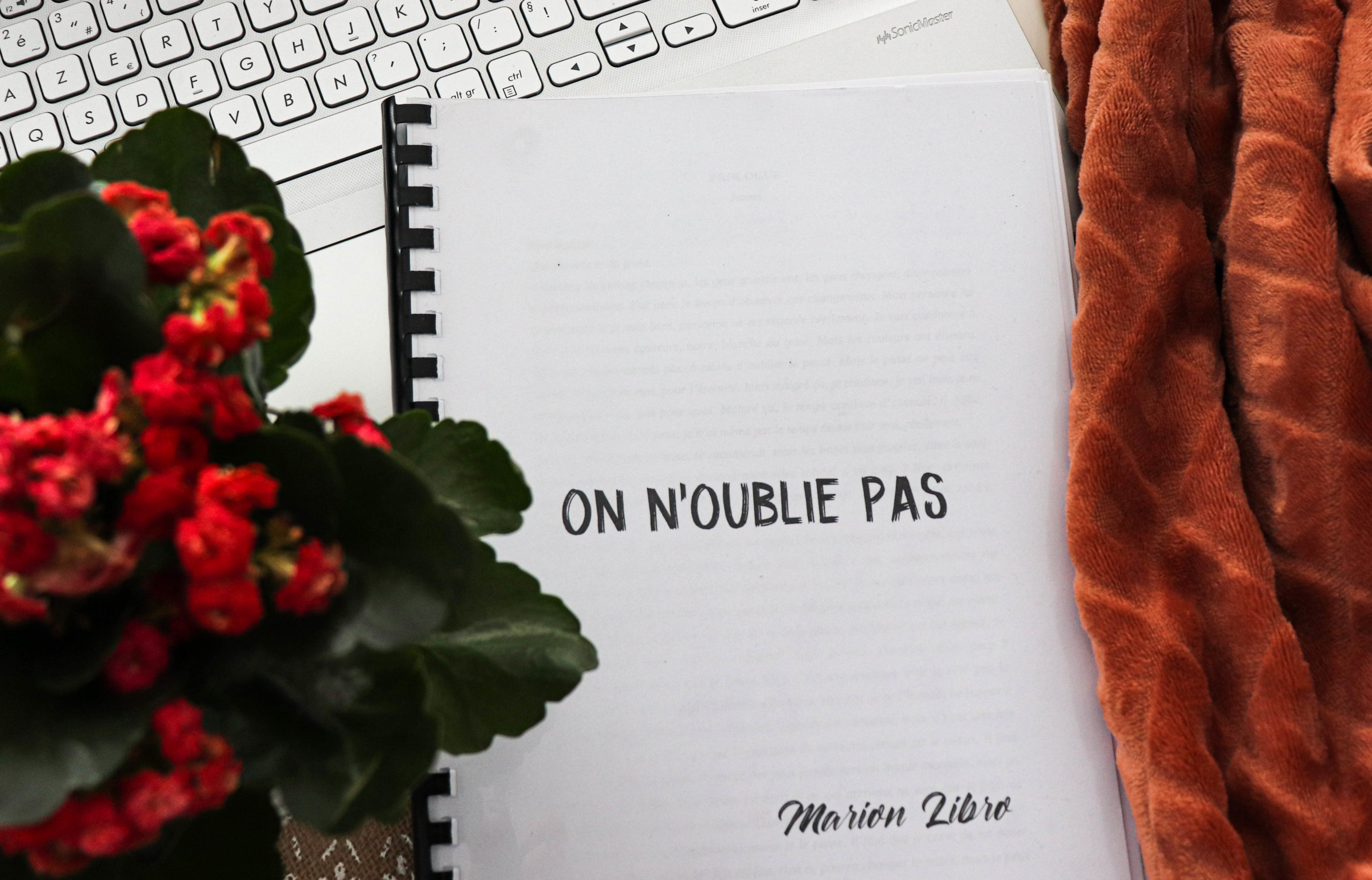 on n'oublie pas marion libro