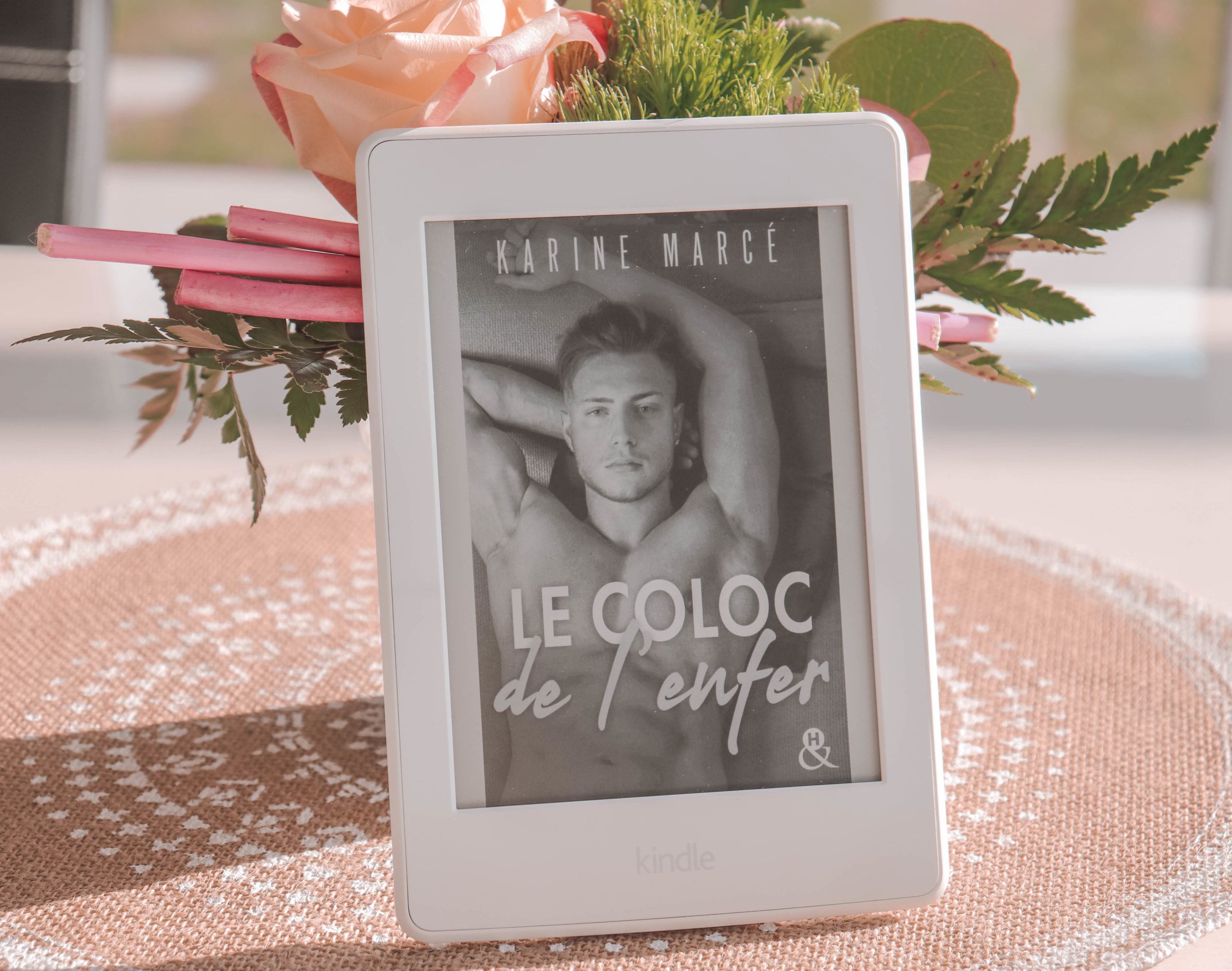 le coloc de l'enfer karine marcé