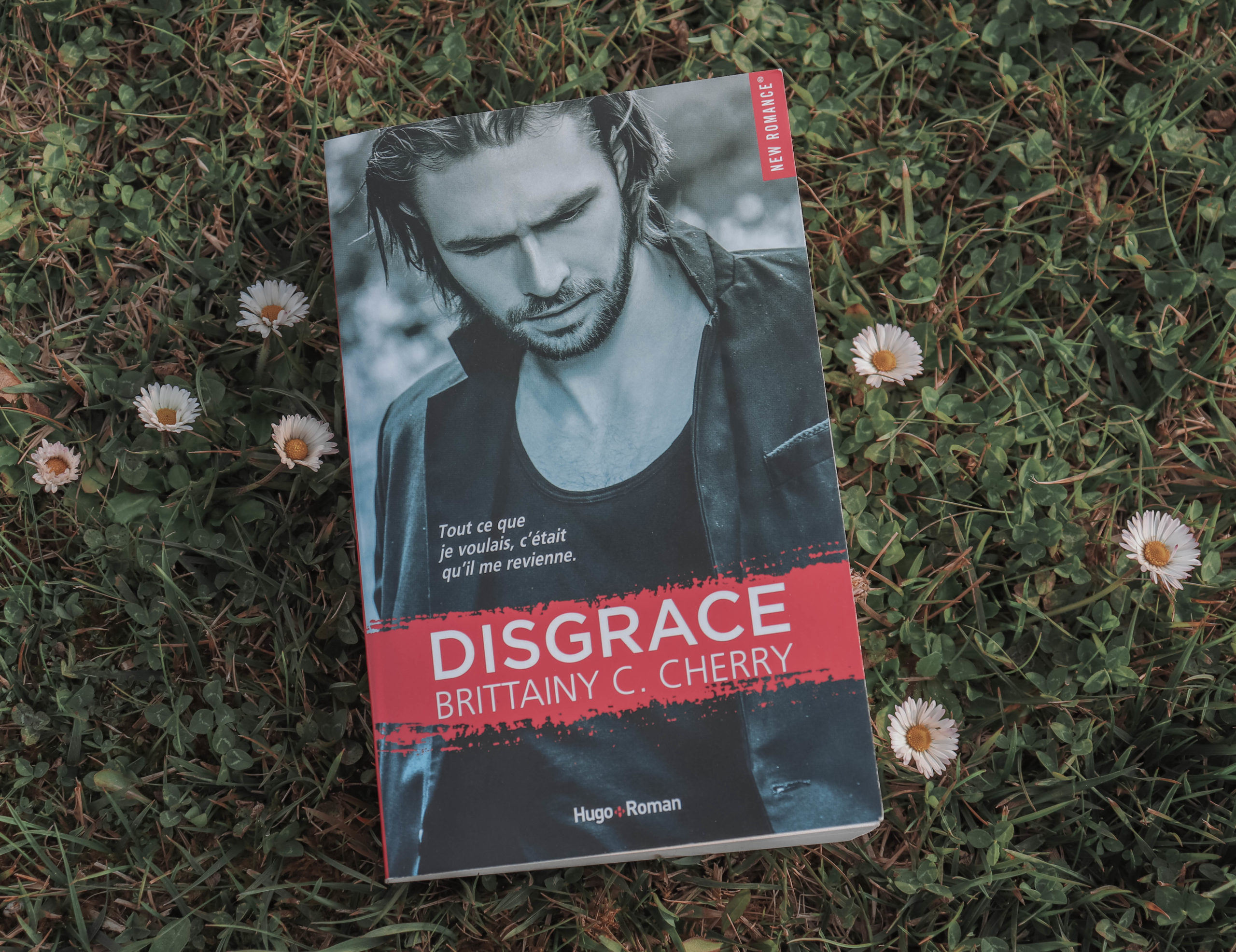 disgrace brittainy c cherry
