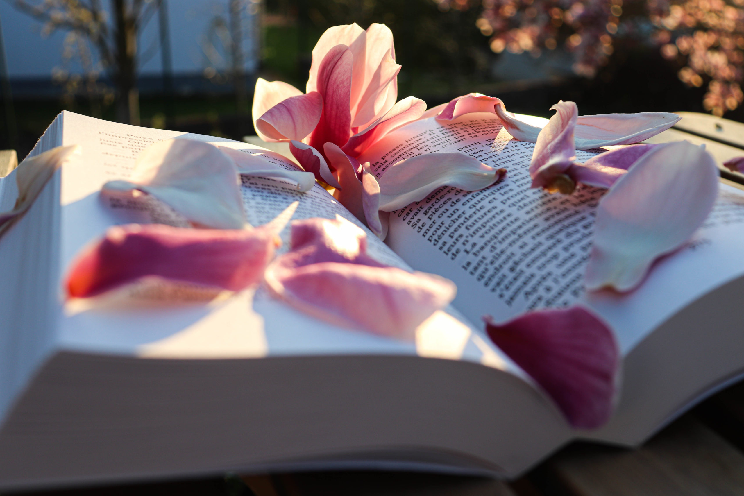 livre unexpectad date marion libro extrait de podcast